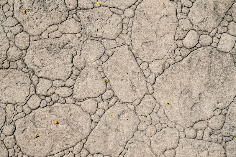 Decorative Concrete Repair in Roseville, CA